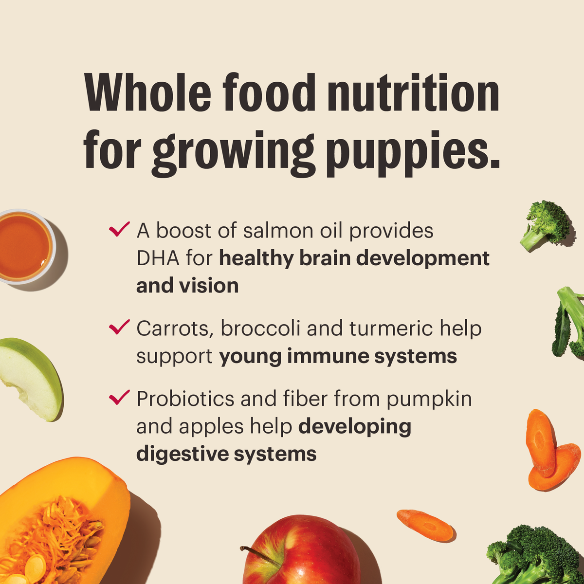 For Puppies Whole Food Clusters Dry Dog Food from The Honest Kitchen