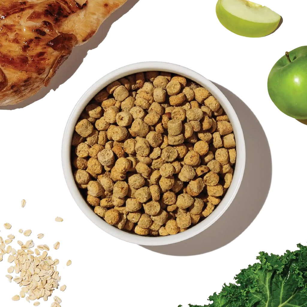 Whole Grain Chicken Whole Food Clusters for Small Breeds product image 8