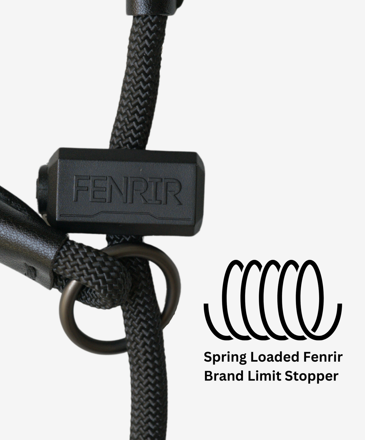 Dog Slip Collar product image 4