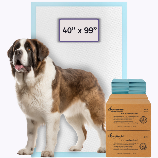 Extra-Large Dog Training Pads product image 4