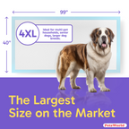 Extra-Large Dog Training Pads product image 5