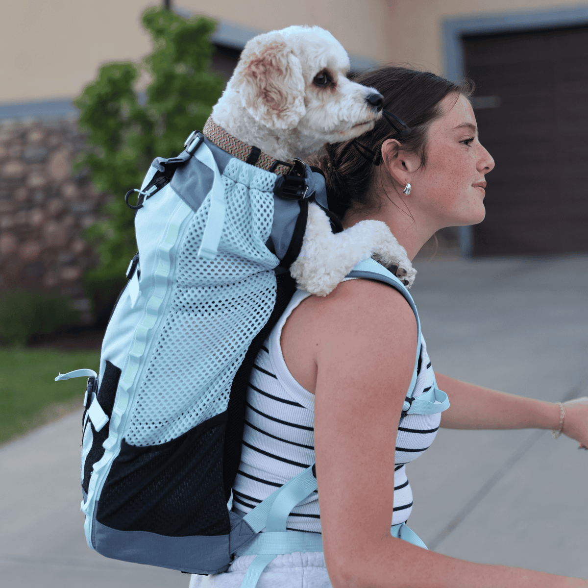 Dog Backpack Carrier product image 14