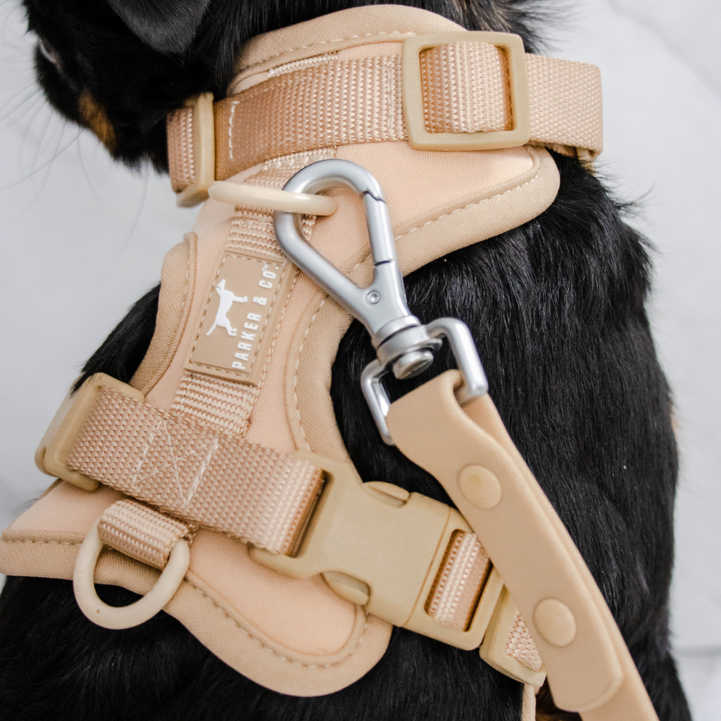 Dog Harness product image 10