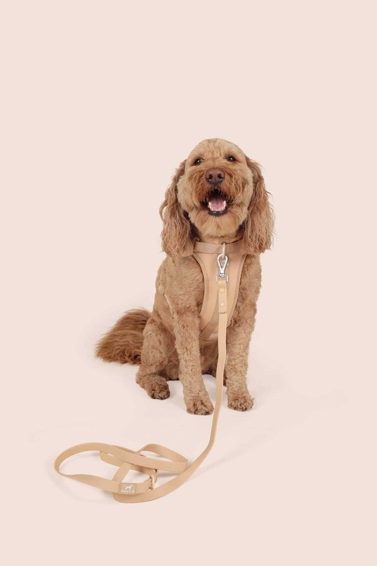 Dog Harness product image 11