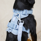 Dog Harness product image 14