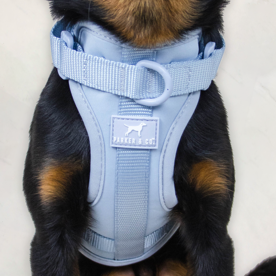 Dog Harness product image 15