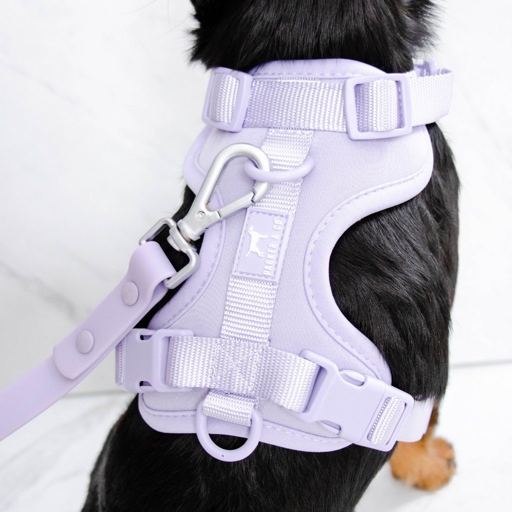 Dog Harness product image 16