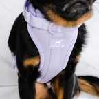 Dog Harness product image 17