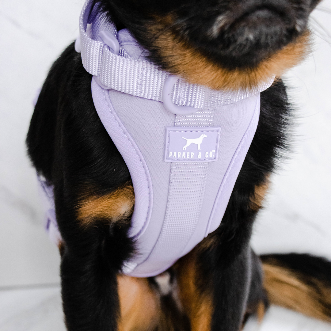 Dog Harness product image 17
