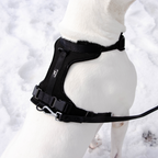 Dog Harness product image 18