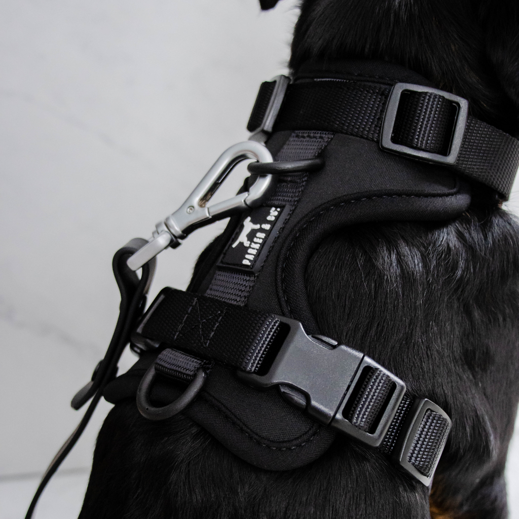 Dog Harness product image 19