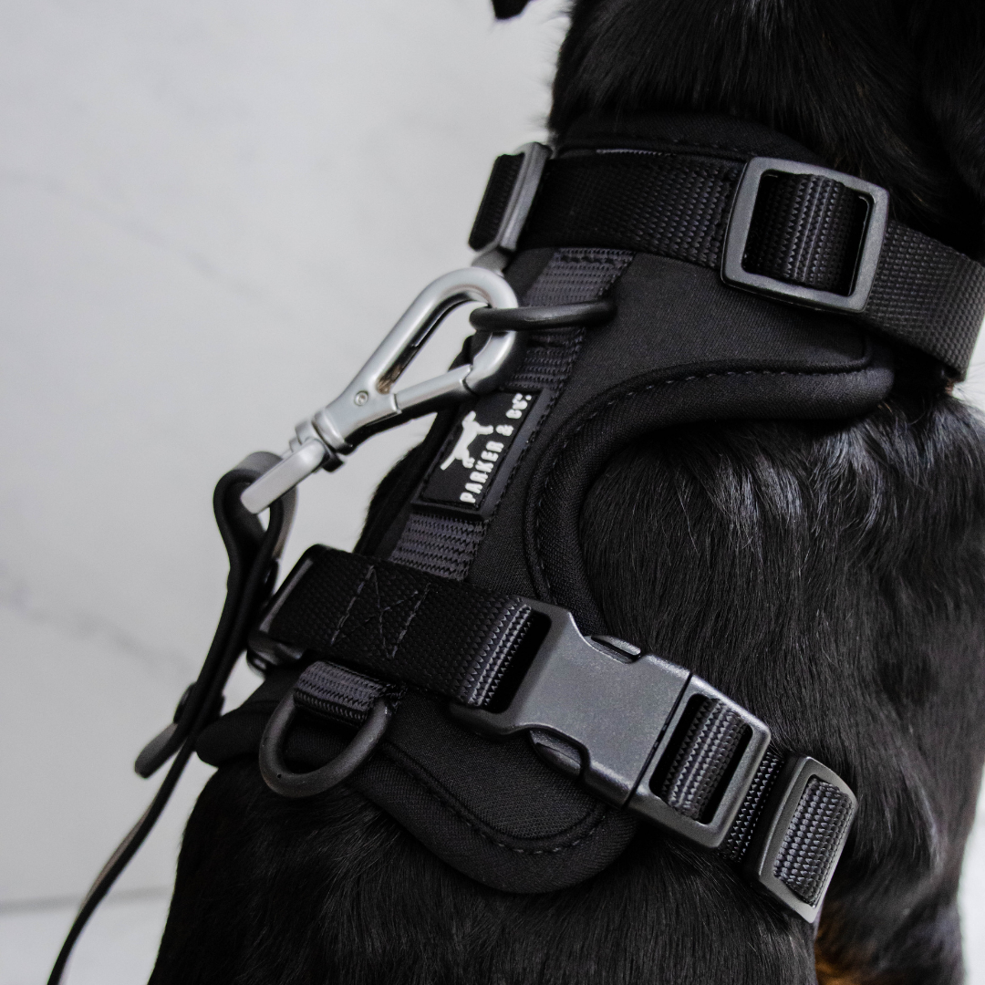 Dog Harness product image 19