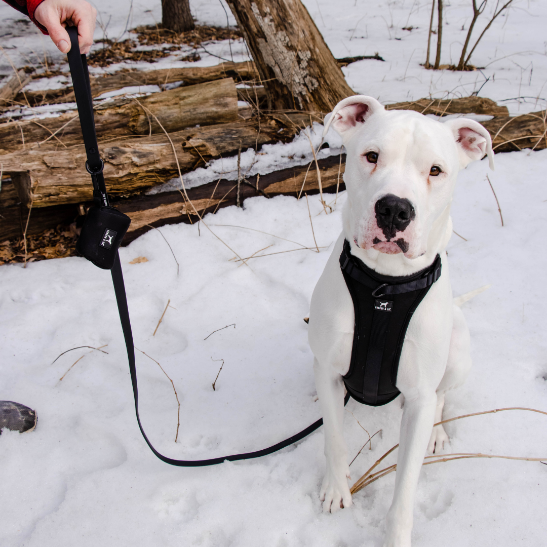Dog Harness product image 20