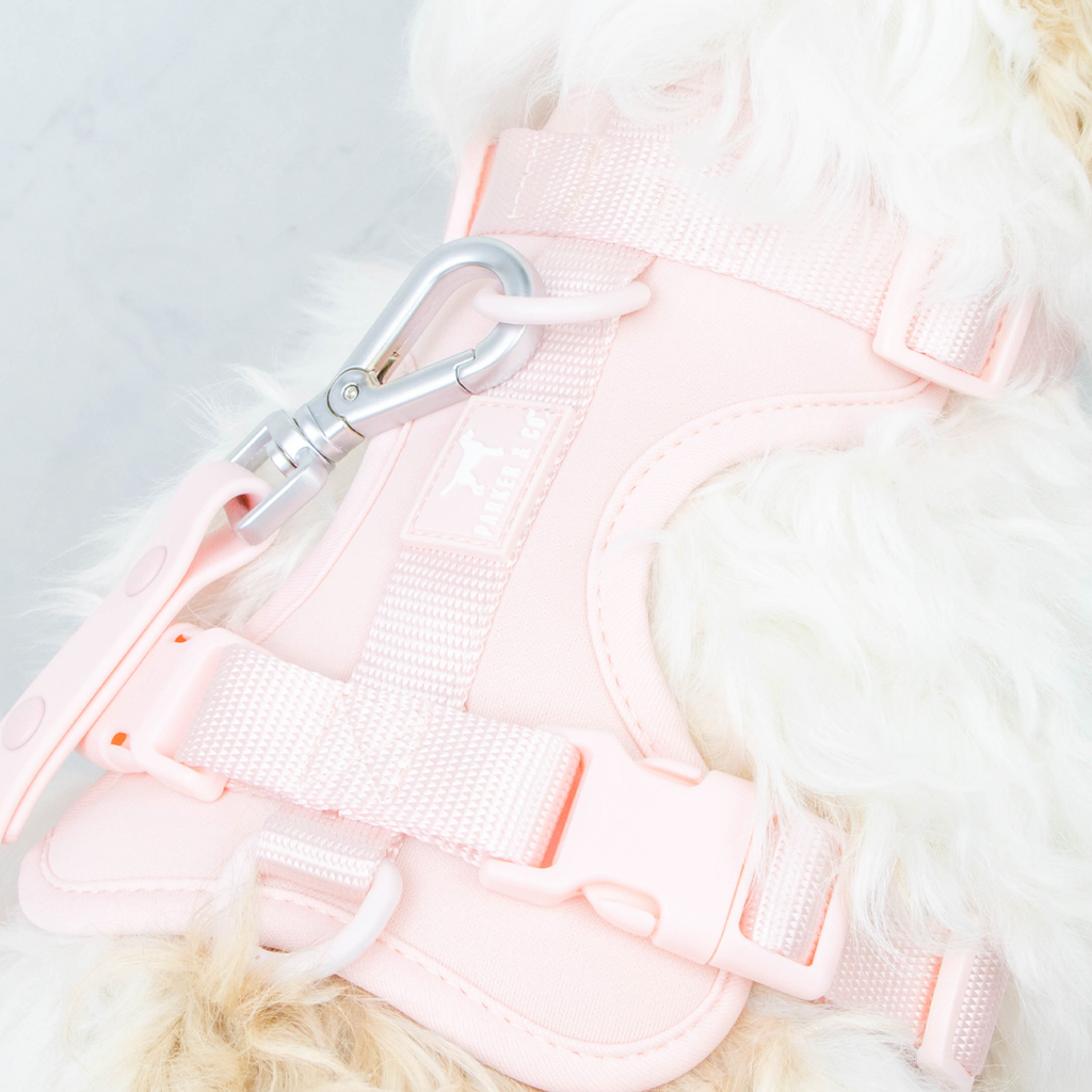 Dog Harness product image 21