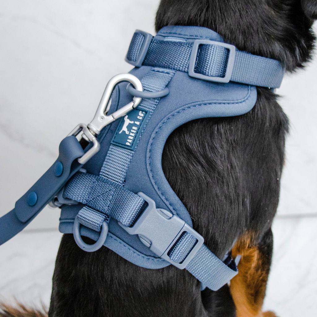 Dog Harness product image 23