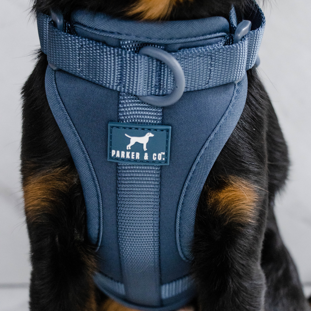 Dog Harness product image 24