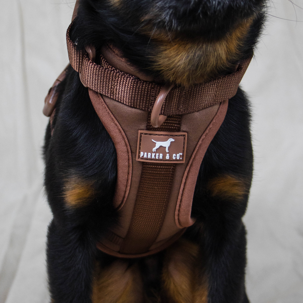 Dog Harness product image 25