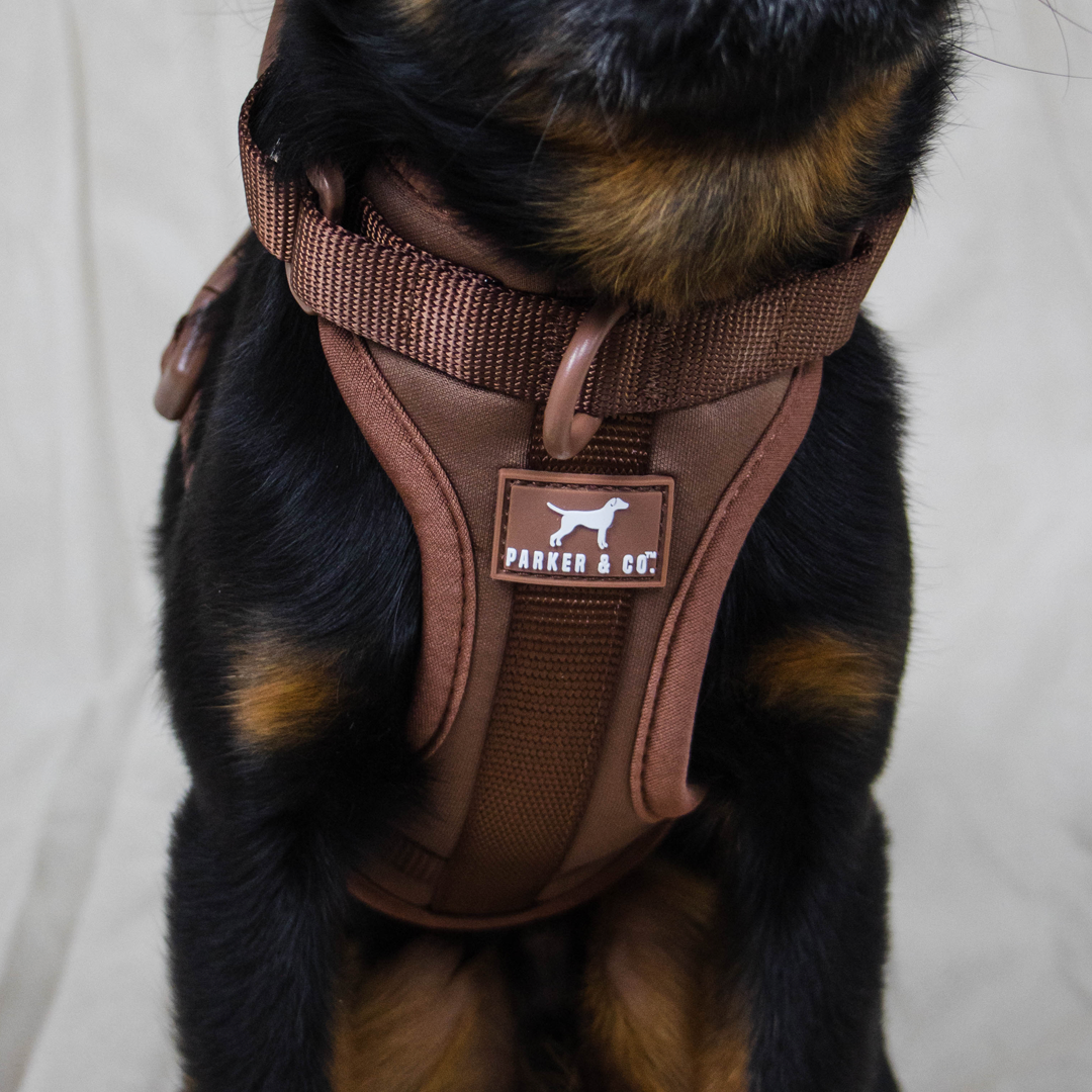 Dog Harness product image 25