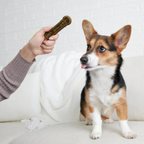 Dog Dental Chew product image 2