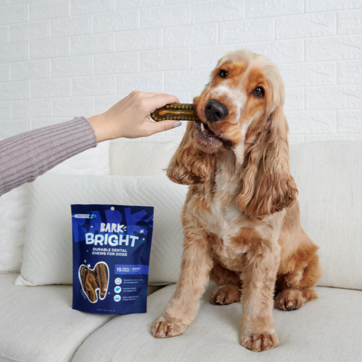 Dog Dental Chew product image 3