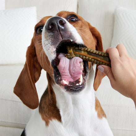 Dog Dental Chew product image 4