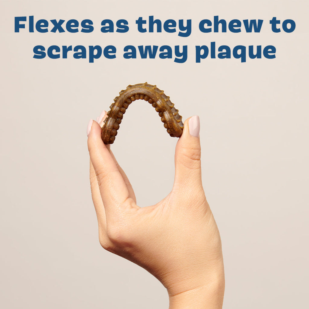 Dog Dental Chew product image 5