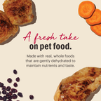 Chicken Dehydrated Cat Food from The Honest Kitchen