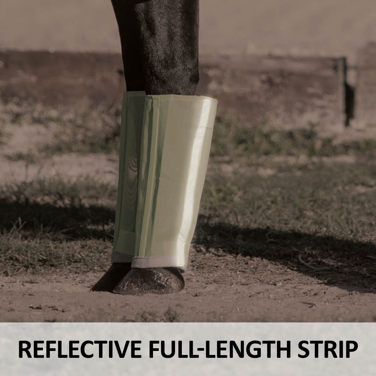 Horse Fly Boots product image 9