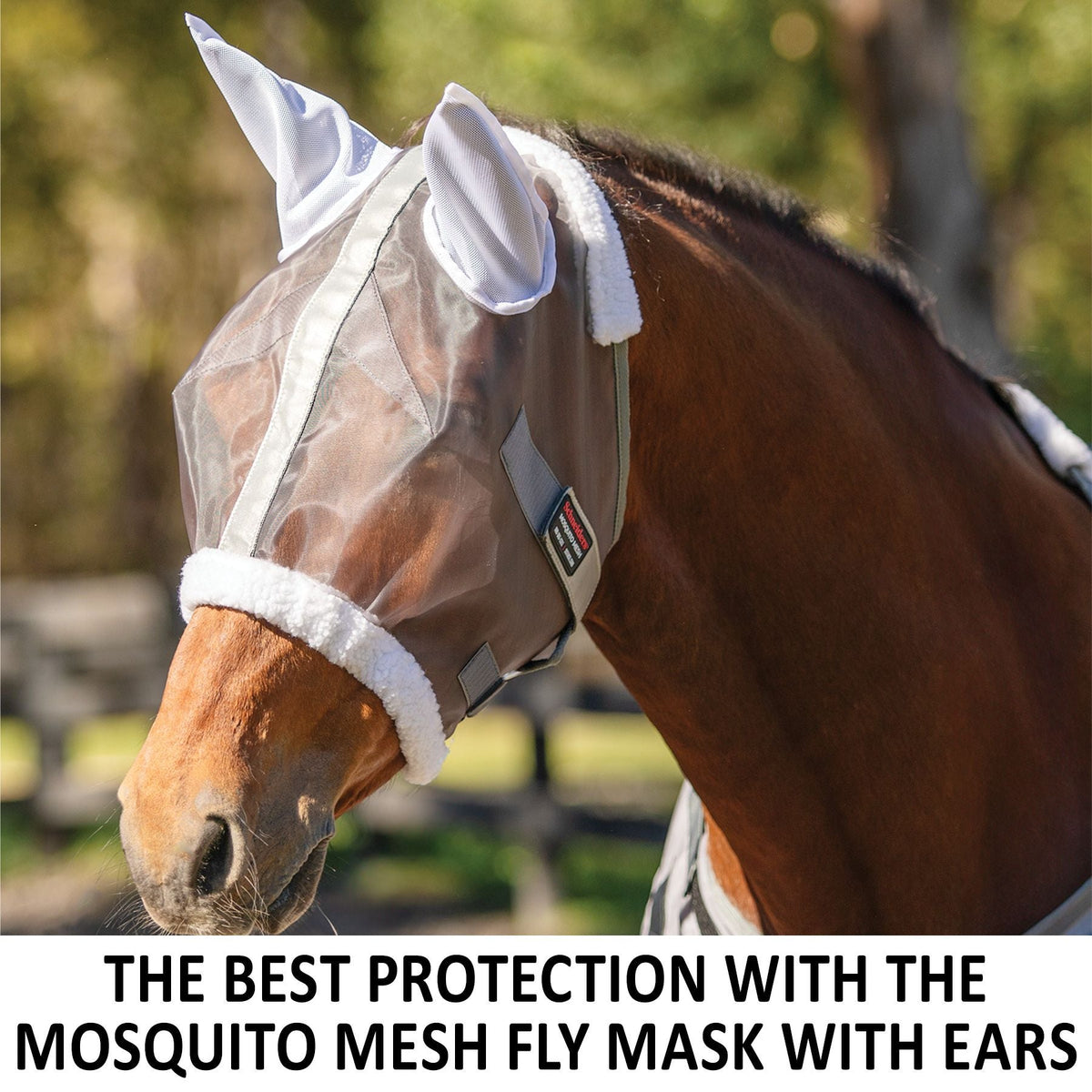 Horse Fly Mask product image 2