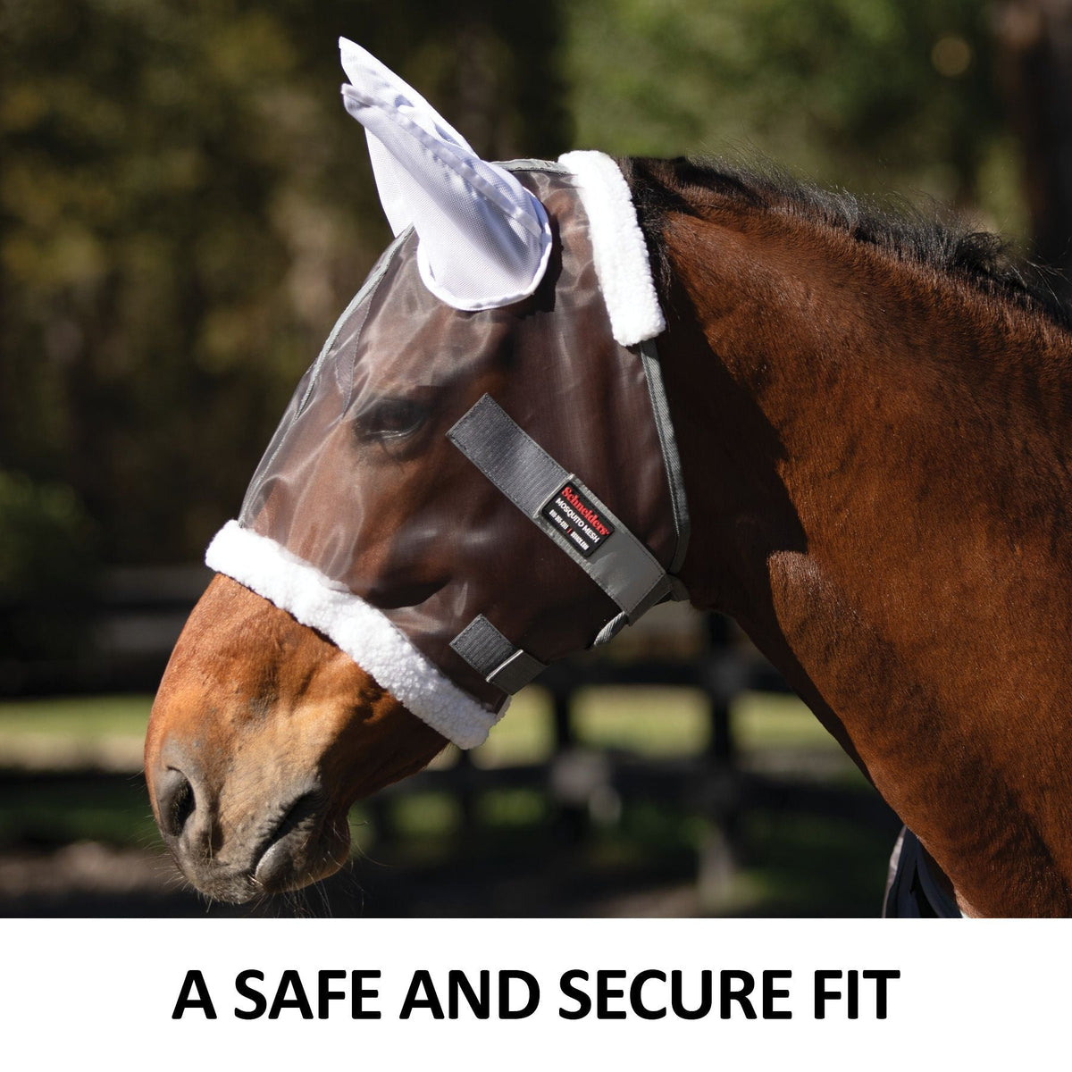 Horse Fly Mask product image 5
