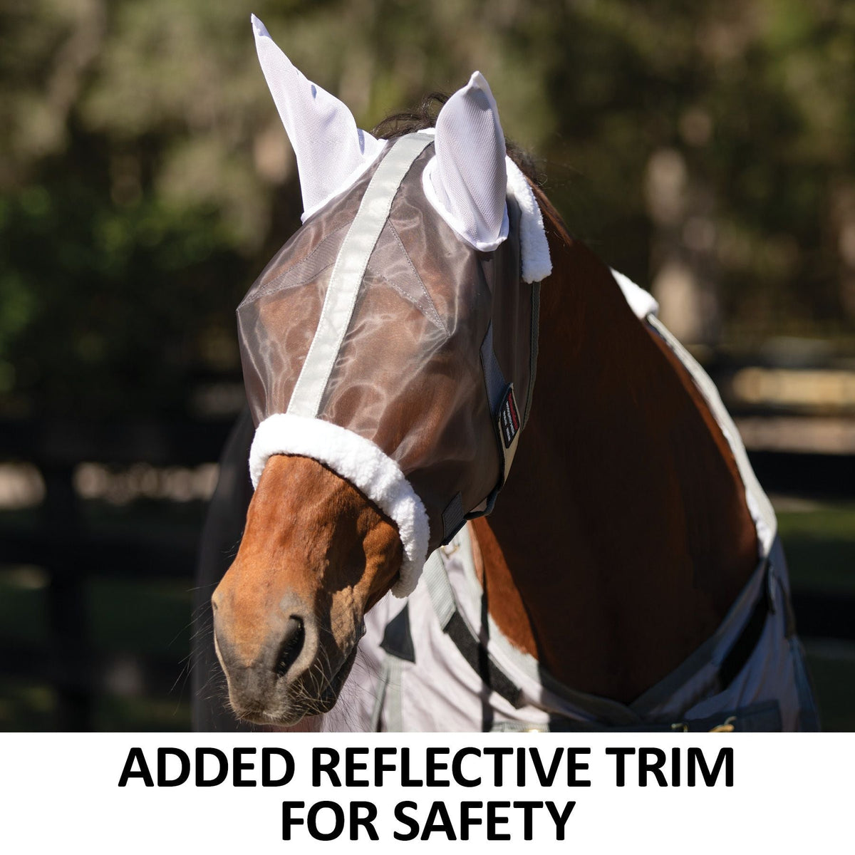 Horse Fly Mask product image 6