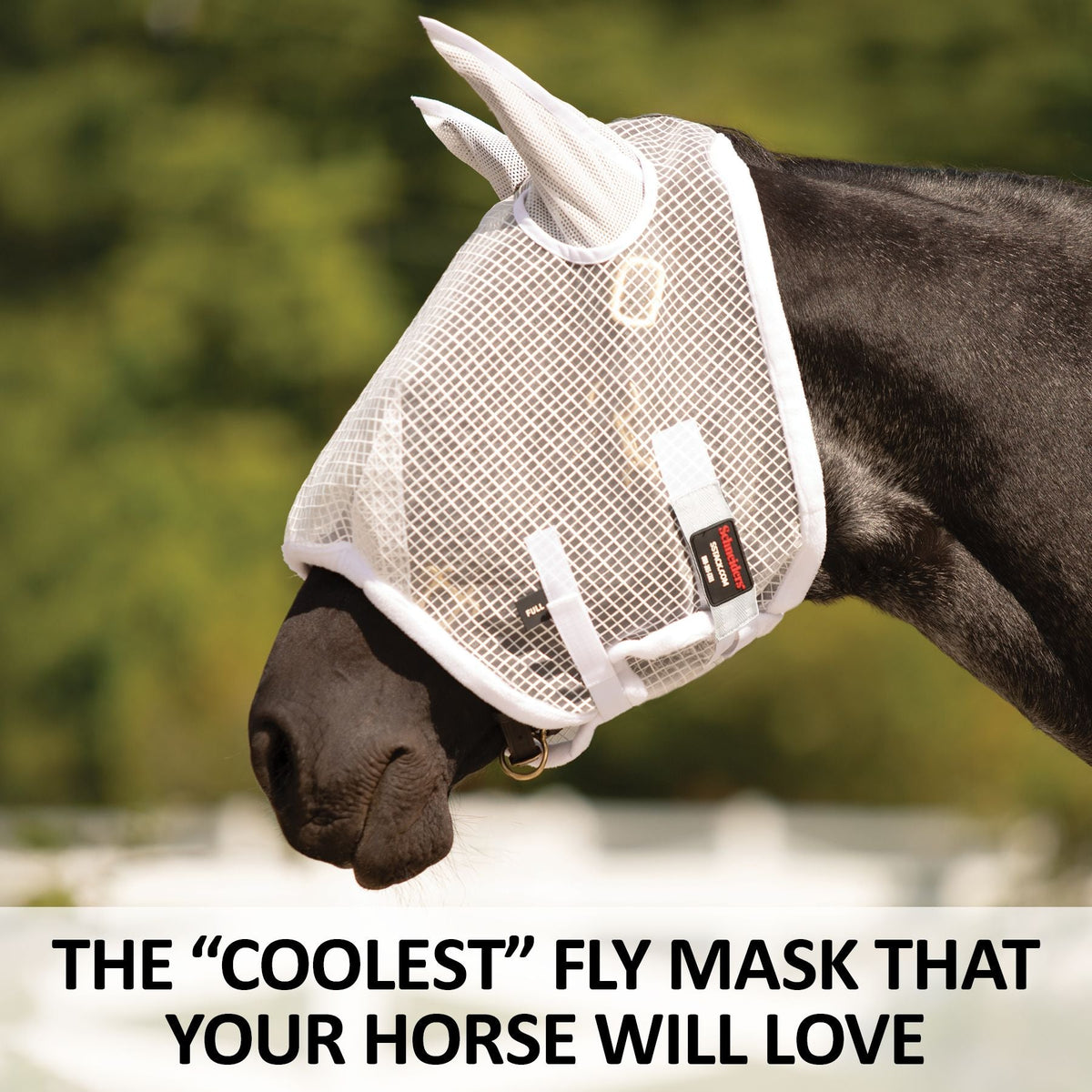 Horse Fly Mask product image 3