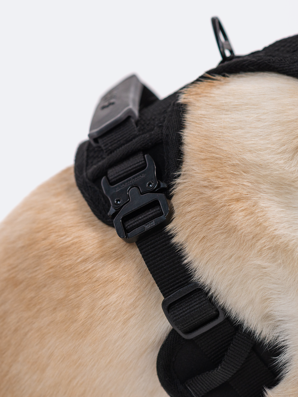 Adjustable Dual-Clip Dog Walking Harness product image 7