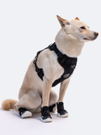 Adjustable Dual-Clip Dog Walking Harness product image 8