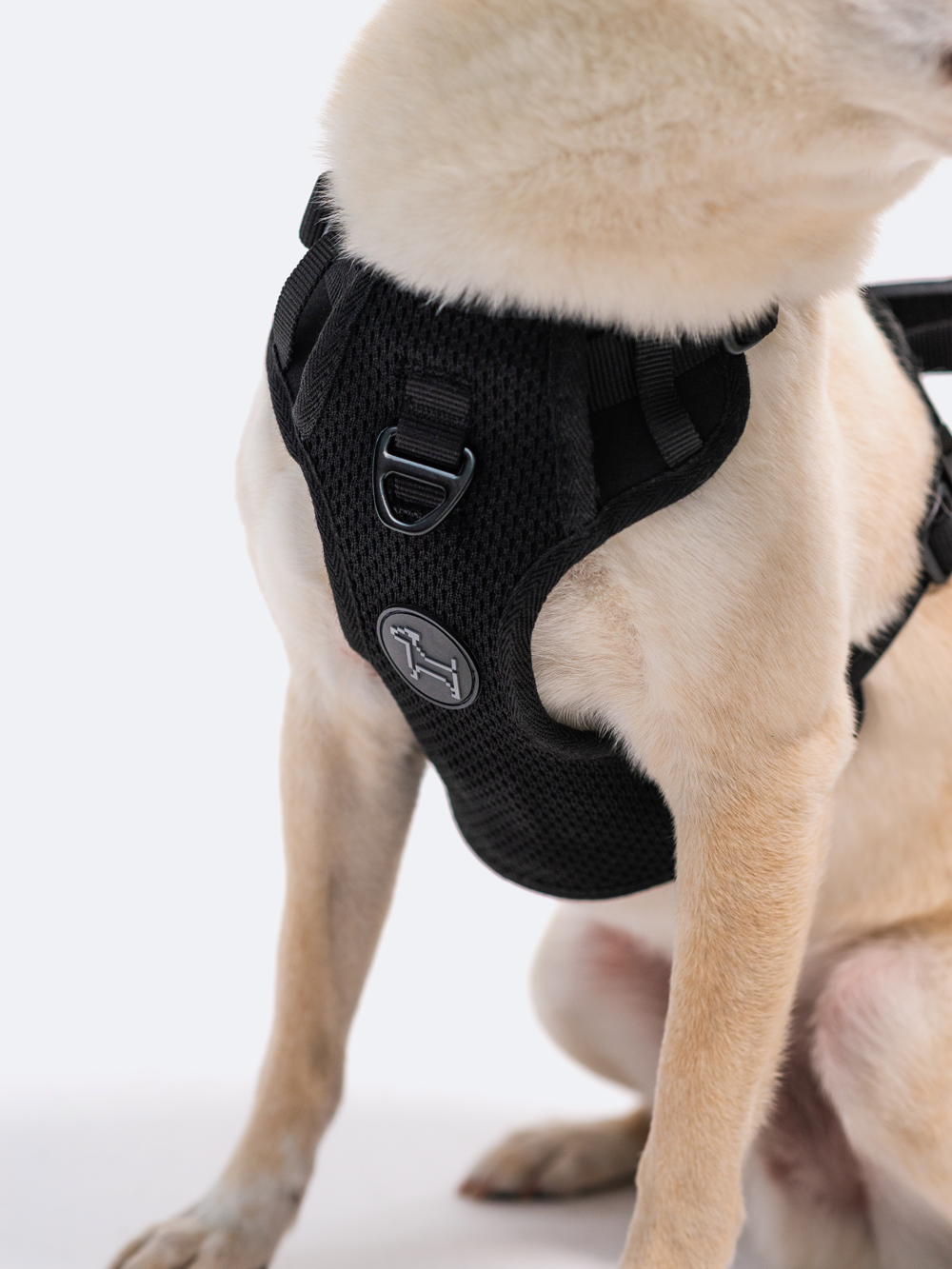 Adjustable Dual-Clip Dog Walking Harness product image 10