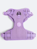 Adjustable Dual-Clip Dog Walking Harness product image 11