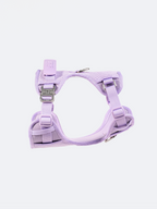 Adjustable Dual-Clip Dog Walking Harness product image 12