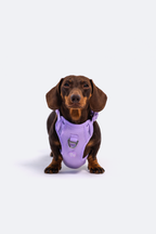 Adjustable Dual-Clip Dog Walking Harness product image 16