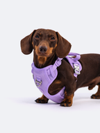 Adjustable Dual-Clip Dog Walking Harness product image 17