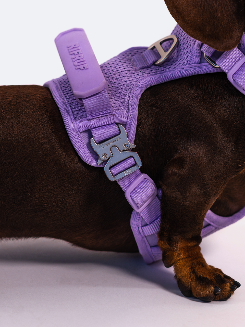 Adjustable Dual-Clip Dog Walking Harness product image 19