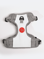 Adjustable Dual-Clip Dog Walking Harness product image 20