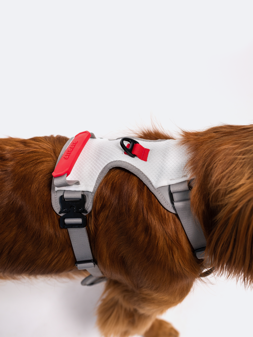 Adjustable Dual-Clip Dog Walking Harness product image 28