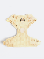 Adjustable Dual-Clip Dog Walking Harness product image 30