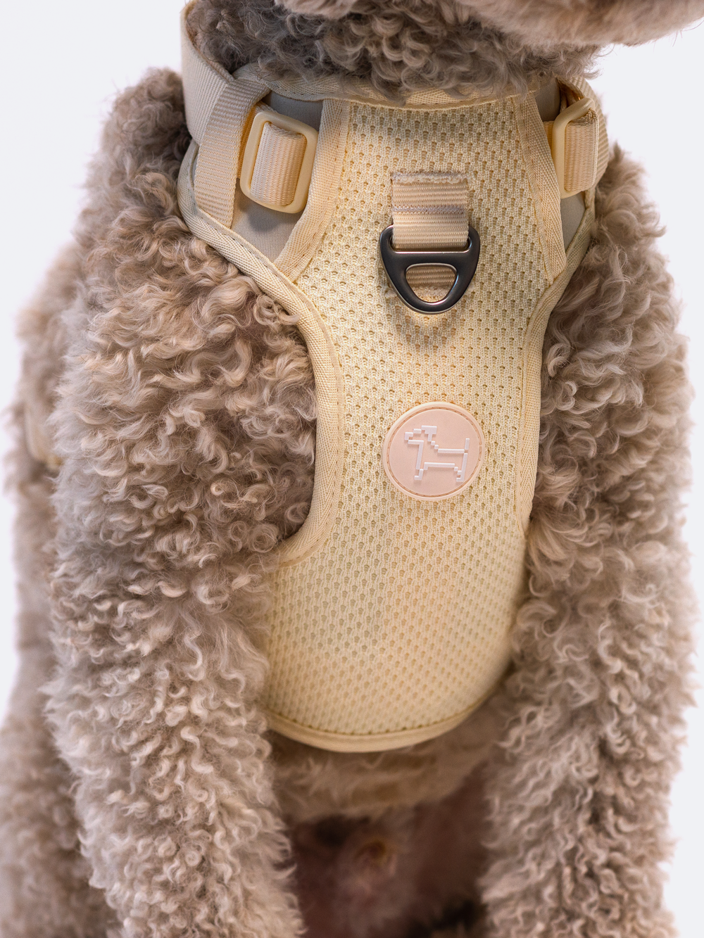 Adjustable Dual-Clip Dog Walking Harness product image 36
