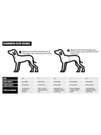 Adjustable Dual-Clip Dog Walking Harness product image 40