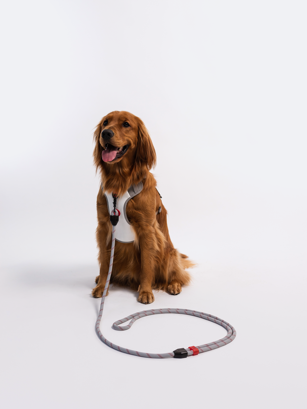Adjustable Hands-Free Rope Dog Leash product image 19