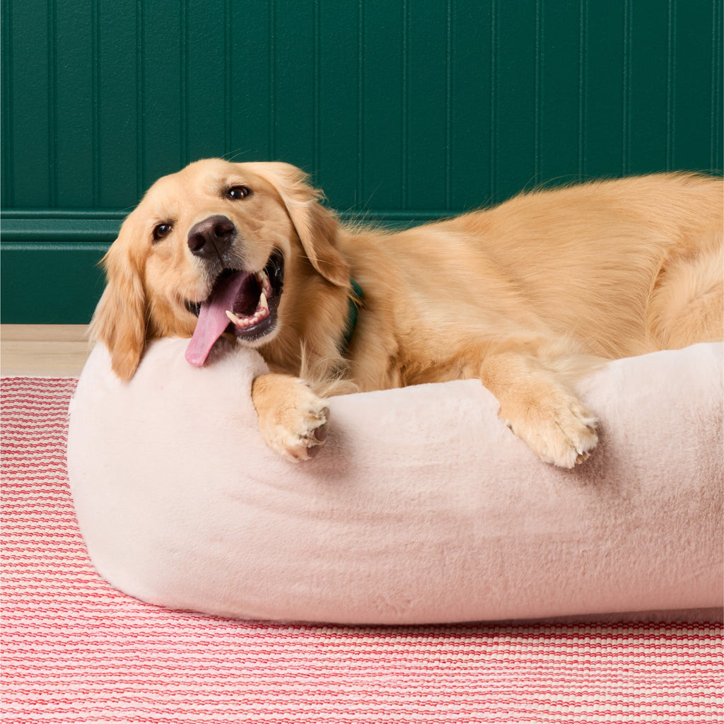 Bolster Dog Bed product image 6
