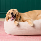 Bolster Dog Bed product image 6