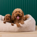 Bolster Dog Bed product image 7