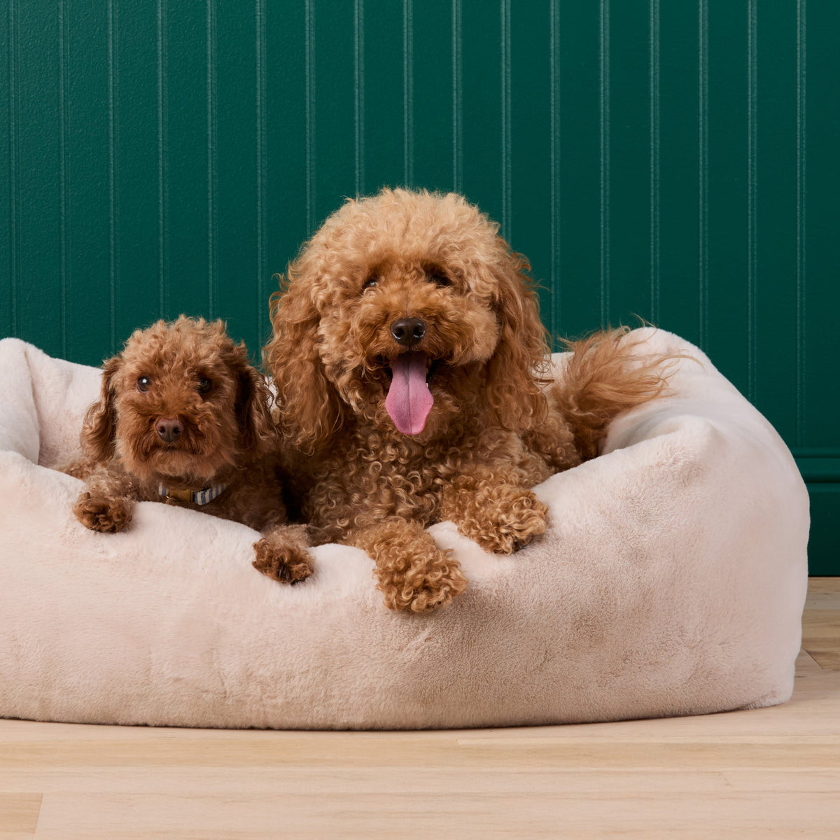 Bolster Dog Bed product image 7